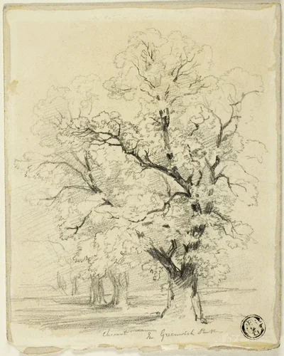 Ches[t]nut in Greenwich Park by Thomas Creswick, drawing, 1831-1869