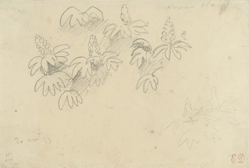 Studieblaadje met plantjes: witte kastanje by Eugène Delacroix, drawing, 1853