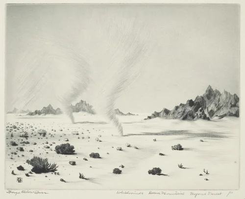 Whirlwinds, Dead Mountains, Mojave Desert, California by George Elbert Burr, print, 1916-1926