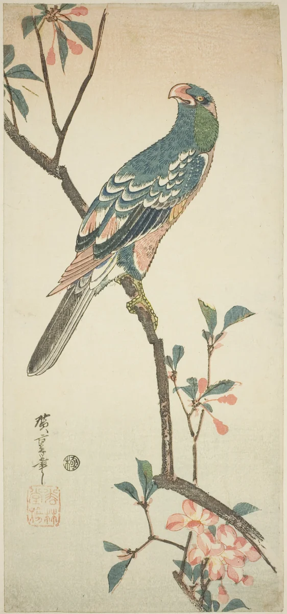 Parrot on a blossoming branch by Utagawa Hiroshige (歌川広重), print, 1830-1840