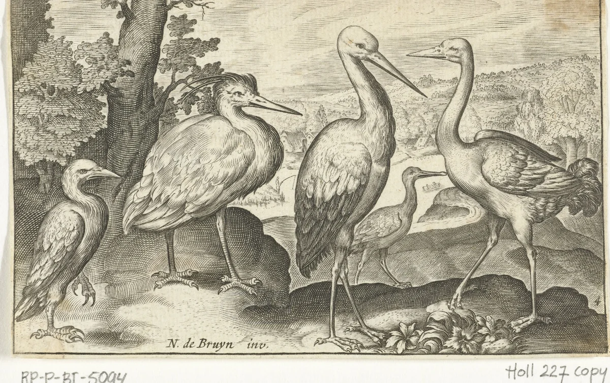 Ooievaar, kraanvogel, reiger en lepelaar by anonymous, print, 1594-1644