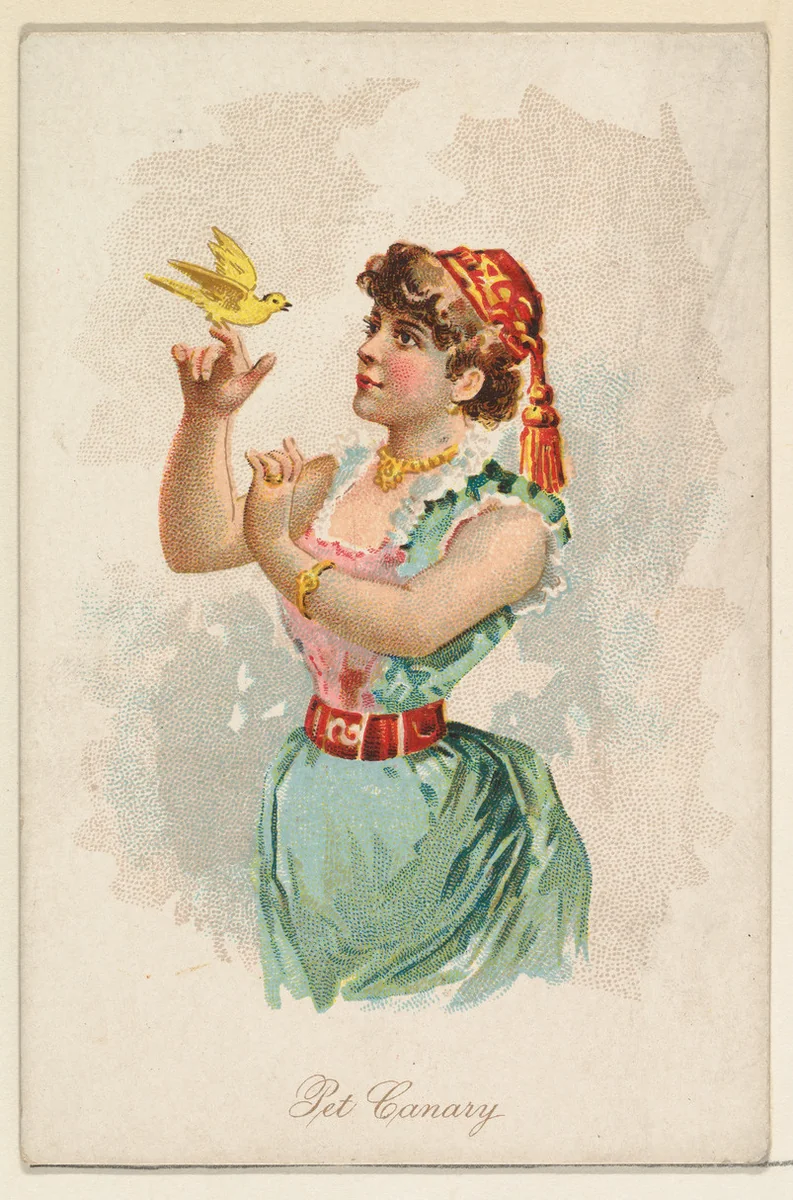 Pet Canary, from the Household Pets series (N194) issued by Wm. S. Kimball & Co. by William S. Kimball & Company, print, 1891