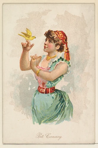 Pet Canary, from the Household Pets series (N194) issued by Wm. S. Kimball & Co. by William S. Kimball & Company, print, 1891