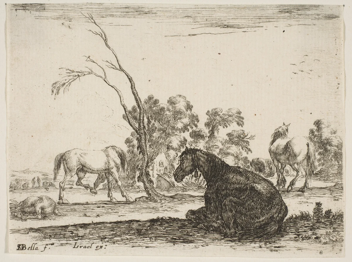 A seated horse to right, seen from behind and turned to the left, three other horses in middleground, a tree in center, plate 8 from "Various Figures" (Agréable diversité de figures) by Stefano della Bella, print, 1642