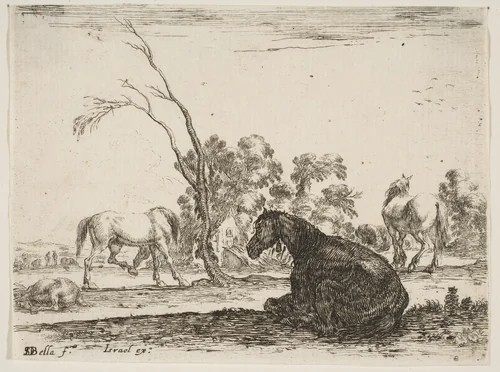 A seated horse to right, seen from behind and turned to the left, three other horses in middleground, a tree in center, plate 8 from "Various Figures" (Agréable diversité de figures) by Stefano della Bella, print, 1642