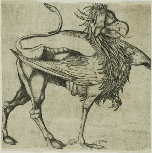 The Griffin by Martin Schongauer, print, 1450-1491