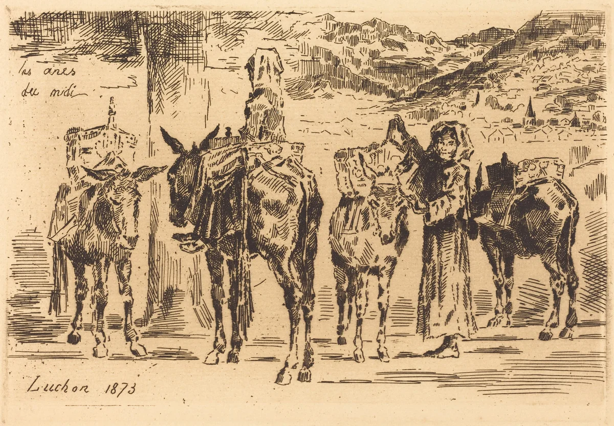 Feuilles d'Anes du Midi by Félix-Hilaire Buhot, print, 1847-1898