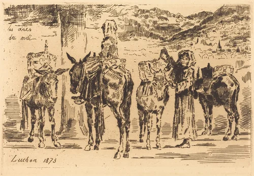 Feuilles d'Anes du Midi by Félix-Hilaire Buhot, print, 1847-1898