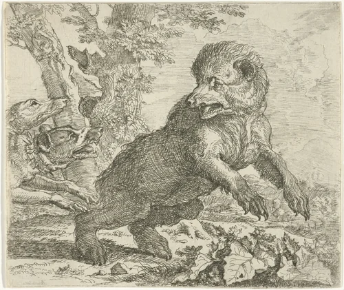 Beer aangevallen door honden by Abraham Daniëlsz. Hondius, print, 1672