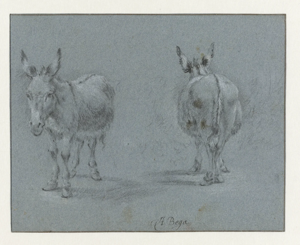 Two Studies of a Donkey, Seen from the Front and Behind by Abraham Jansz Begeyn, drawing, 1660-1665