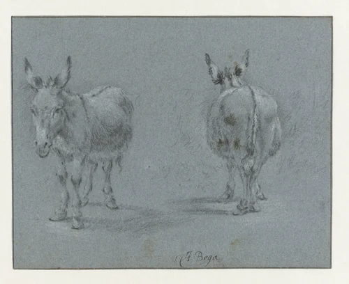 Two Studies of a Donkey, Seen from the Front and Behind by Abraham Jansz Begeyn, drawing, 1660-1665