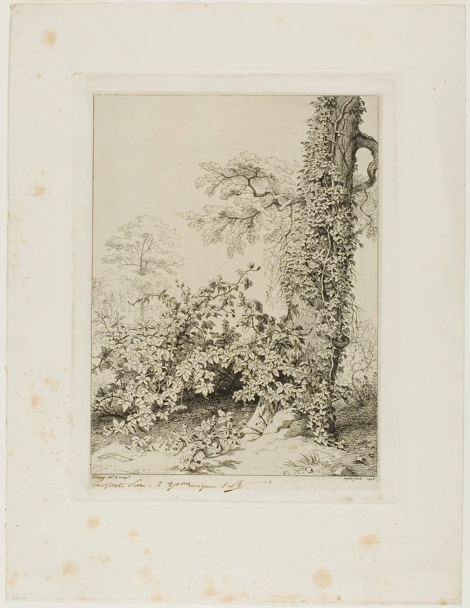 Bramble and Ivy by Eugène Blery, print, 1845