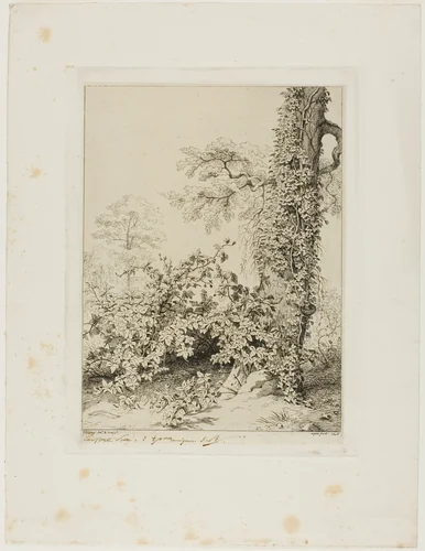Bramble and Ivy by Eugène Blery, print, 1845
