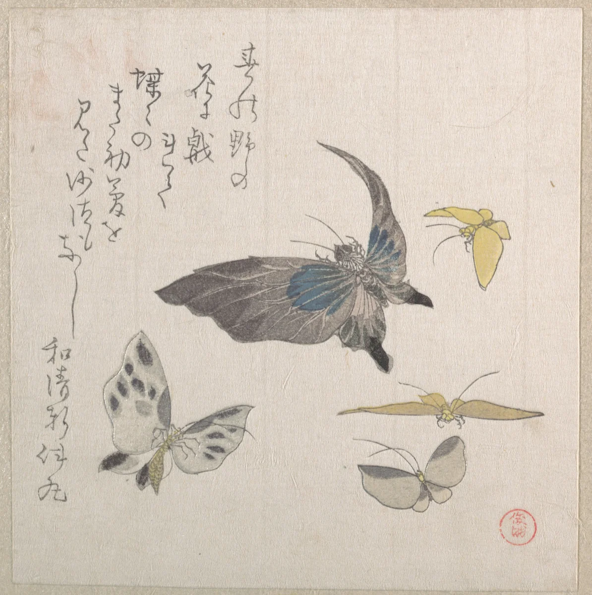 Butterflies by Kubo Shunman (窪俊満), print, 1800-1899