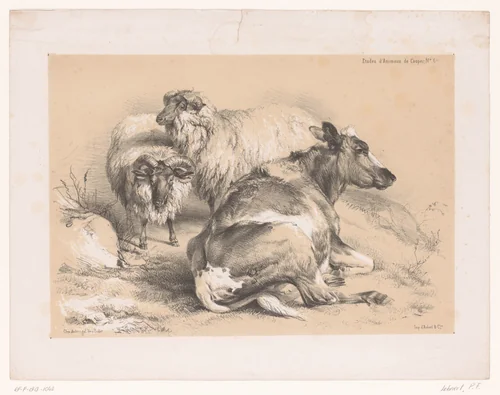 Studie van twee schapen en een koe by Pierre Frédéric Lehnert, print, 1838-1840