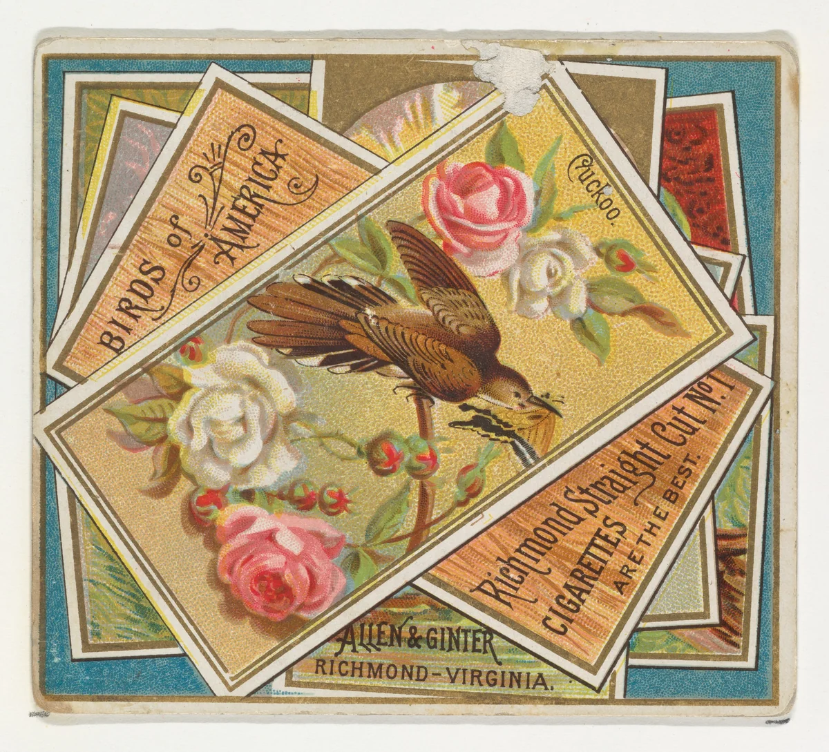 Cuckoo, from the Birds of America series (N37) for Allen & Ginter Cigarettes by Allen & Ginter, print, 1888