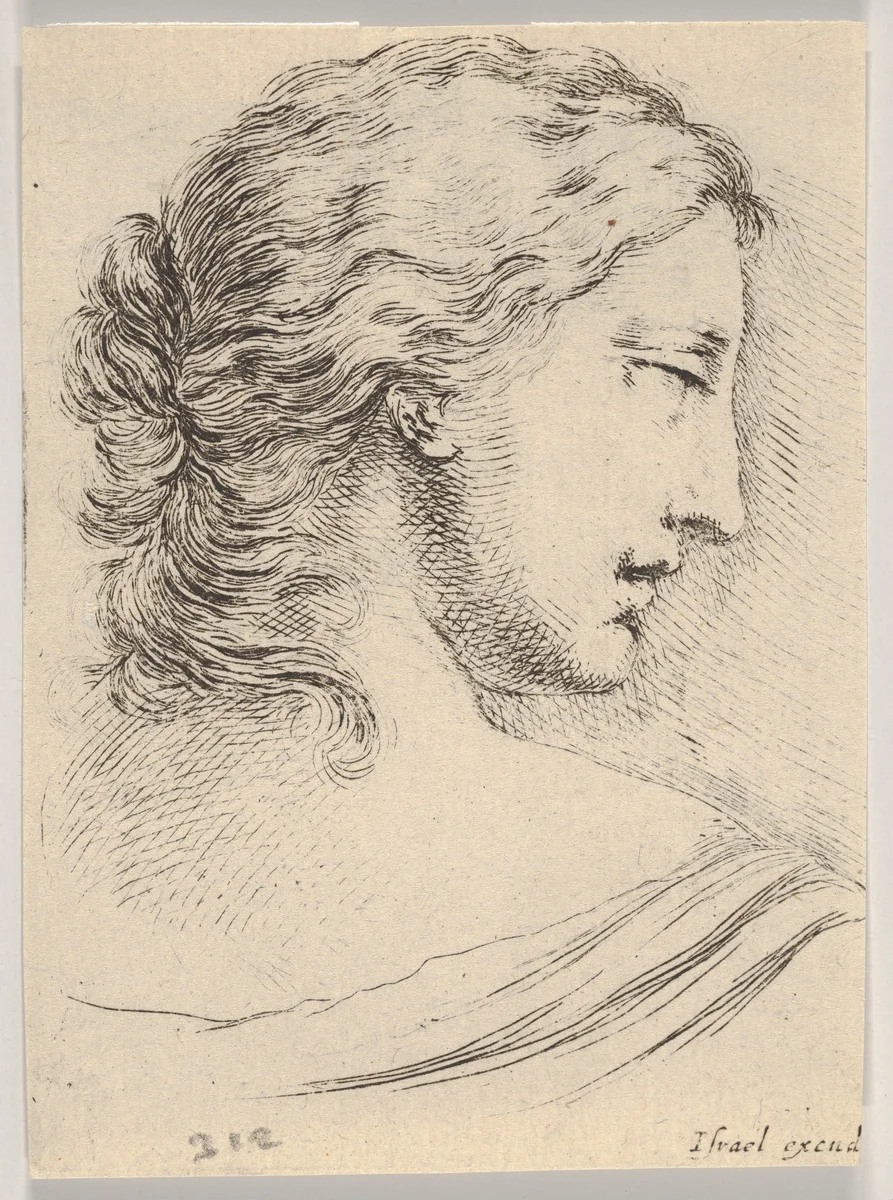 Plate 5: Head of a woman, turned in profile to the right, from "Various heads and figures" (Diverses têtes et figures) by Stefano della Bella, print, 1650