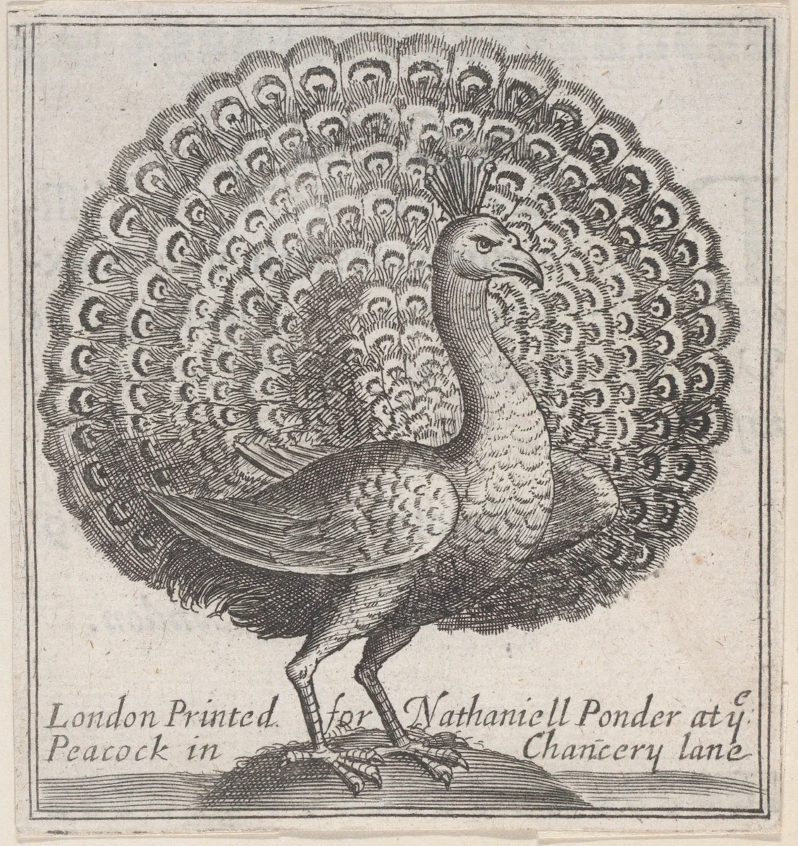 Trade Card for Nathaniell Ponder, Bookseller by anonymous, print, 1700-1800