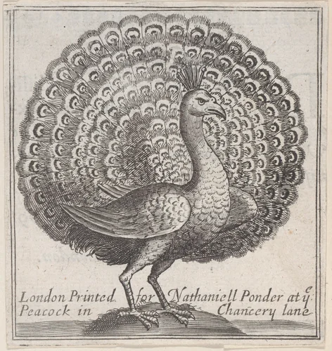Trade Card for Nathaniell Ponder, Bookseller by anonymous, print, 1700-1800