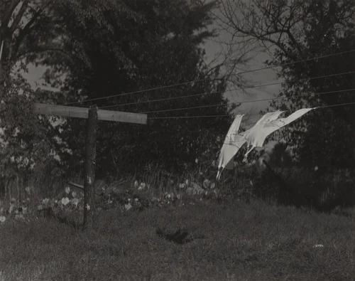 Long Underwear, Lake George by Alfred Stieglitz, photograph, 1924