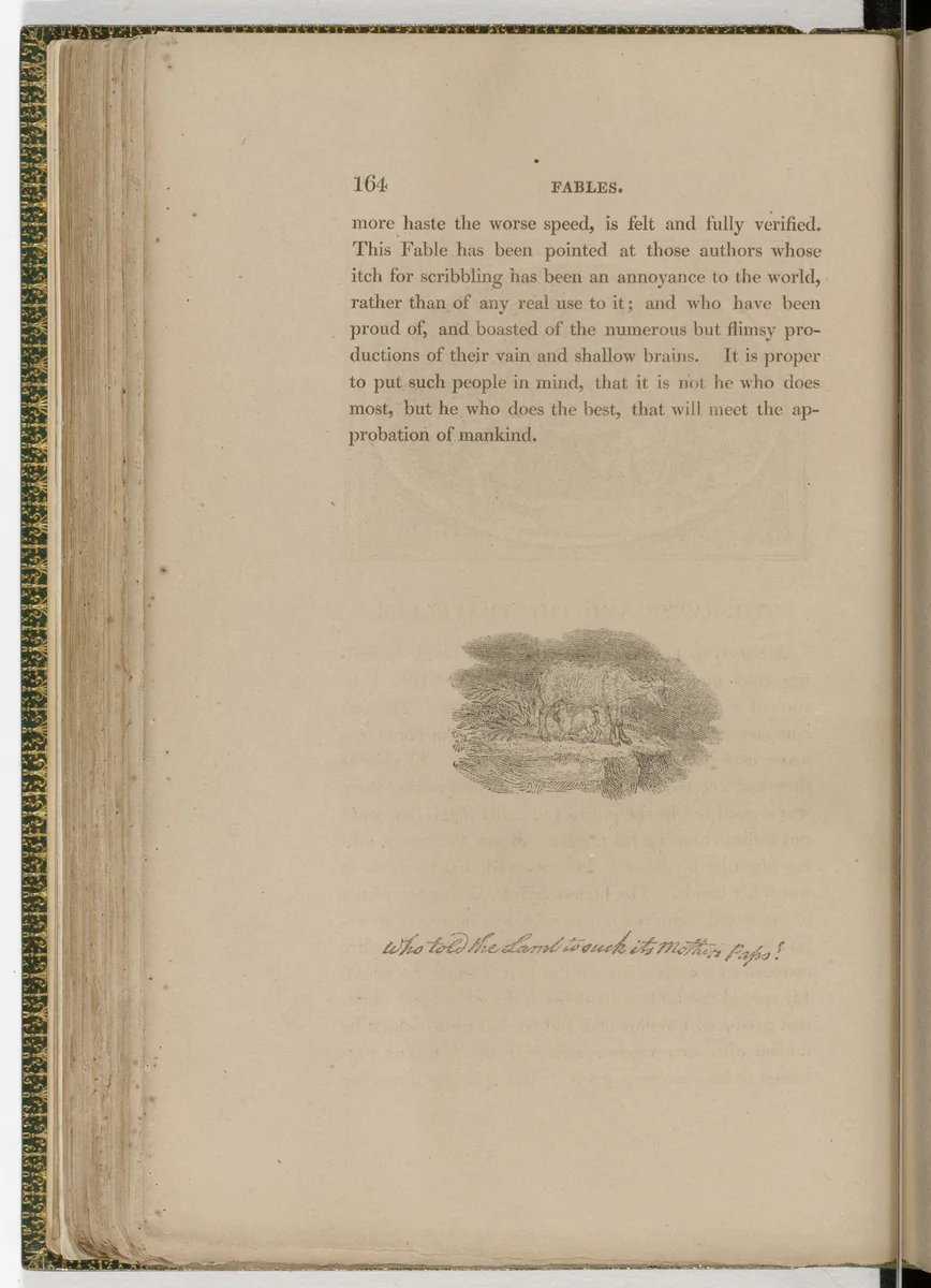 Tailpiece (page 164) from The Fables of Aesop by Thomas Bewick, illustrated book, 1818
