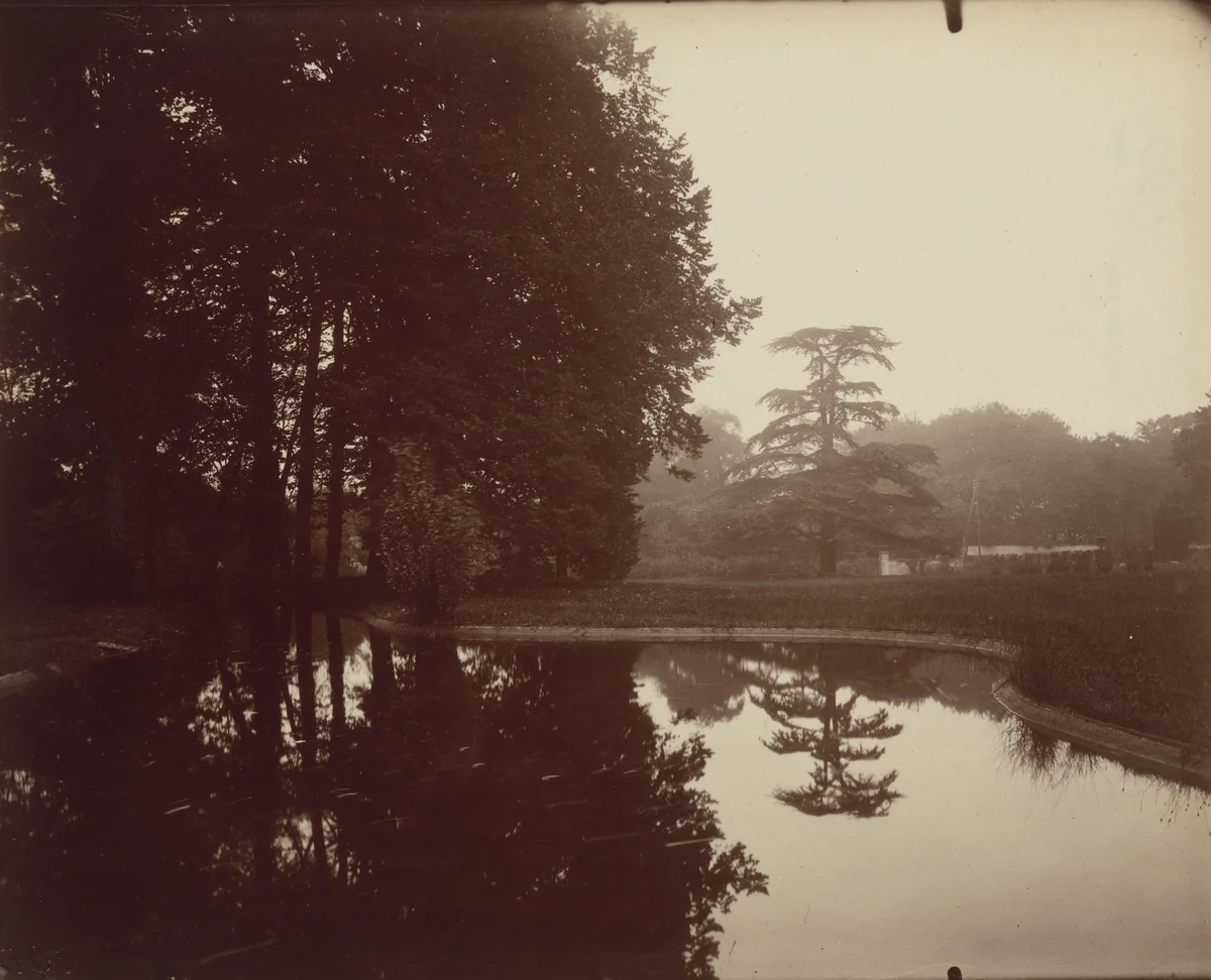 Parc, La Malmaison by Eugène Atget, photograph, 1919