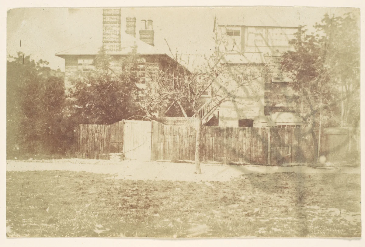 [Tree in Yard] by Samuel Buckle, photograph, 1850-1859