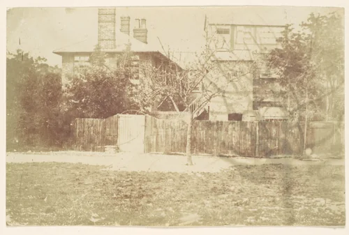 [Tree in Yard] by Samuel Buckle, photograph, 1850-1859