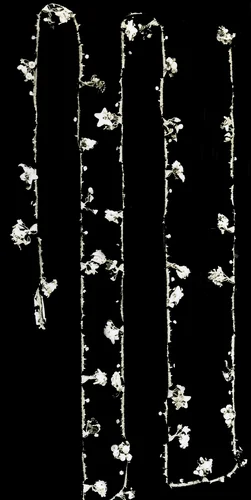 Edging by Eastern Mediterranean, probably Cyprus, textile, 1875-1900