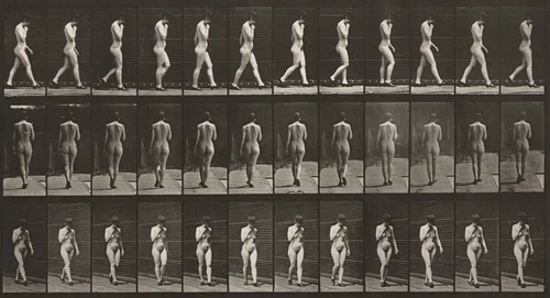 Plate Number 23. Walking, right hand at chin, shoes on by Eadweard Muybridge, photograph, 1887