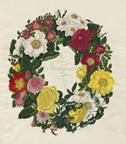 A Wreath of Roses by Mary Lawrance, print, 1799