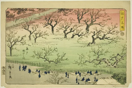 Plum Garden at Kameido (Kameido Umeyashiki), from the series "Famous Places in Edo (Edo meisho)" by Utagawa Hiroshige II (二代目歌川広重), print, 1859