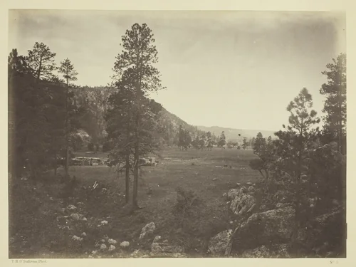 Cooley's Park, Sierra Blanca Range, Arizona by Timothy O'Sullivan, photograph, 1873