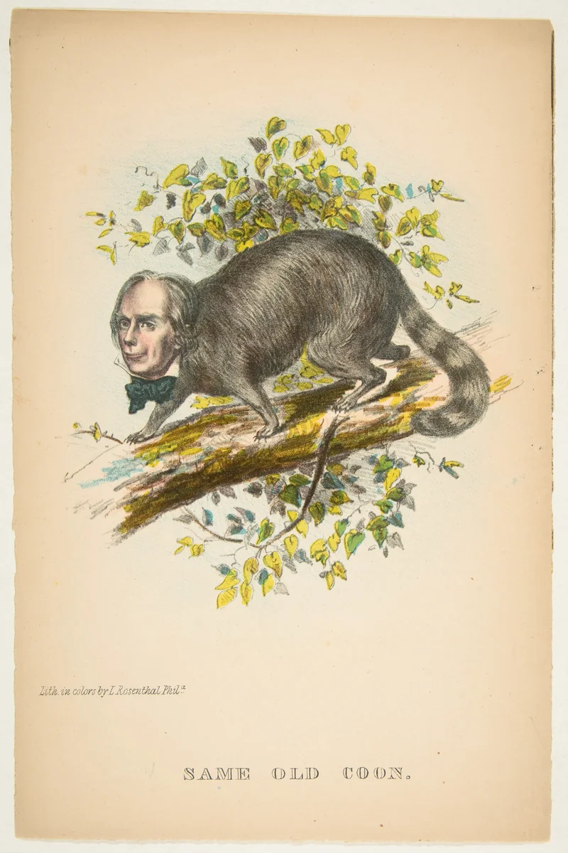 Same Old Coon (Henry Clay), from "The Comic Natural History of the Human Race" by Henry Louis Stephens, print, 1851