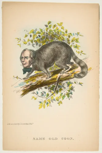Same Old Coon (Henry Clay), from "The Comic Natural History of the Human Race" by Henry Louis Stephens, print, 1851