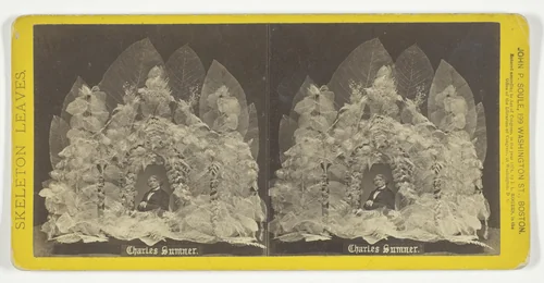 Charles Sumner, from the series "Skeleton Leaves" by John P. Soule, photograph, 1874