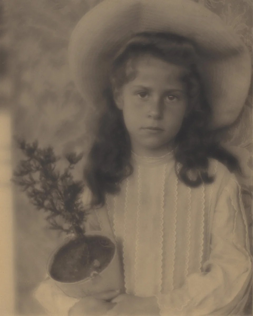 Kitty—Flower-Pot by Alfred Stieglitz, photograph, 1904