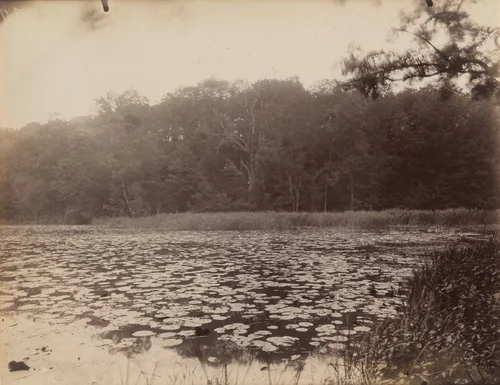 Saint-Cucufa by Eugène Atget, photograph, 1925
