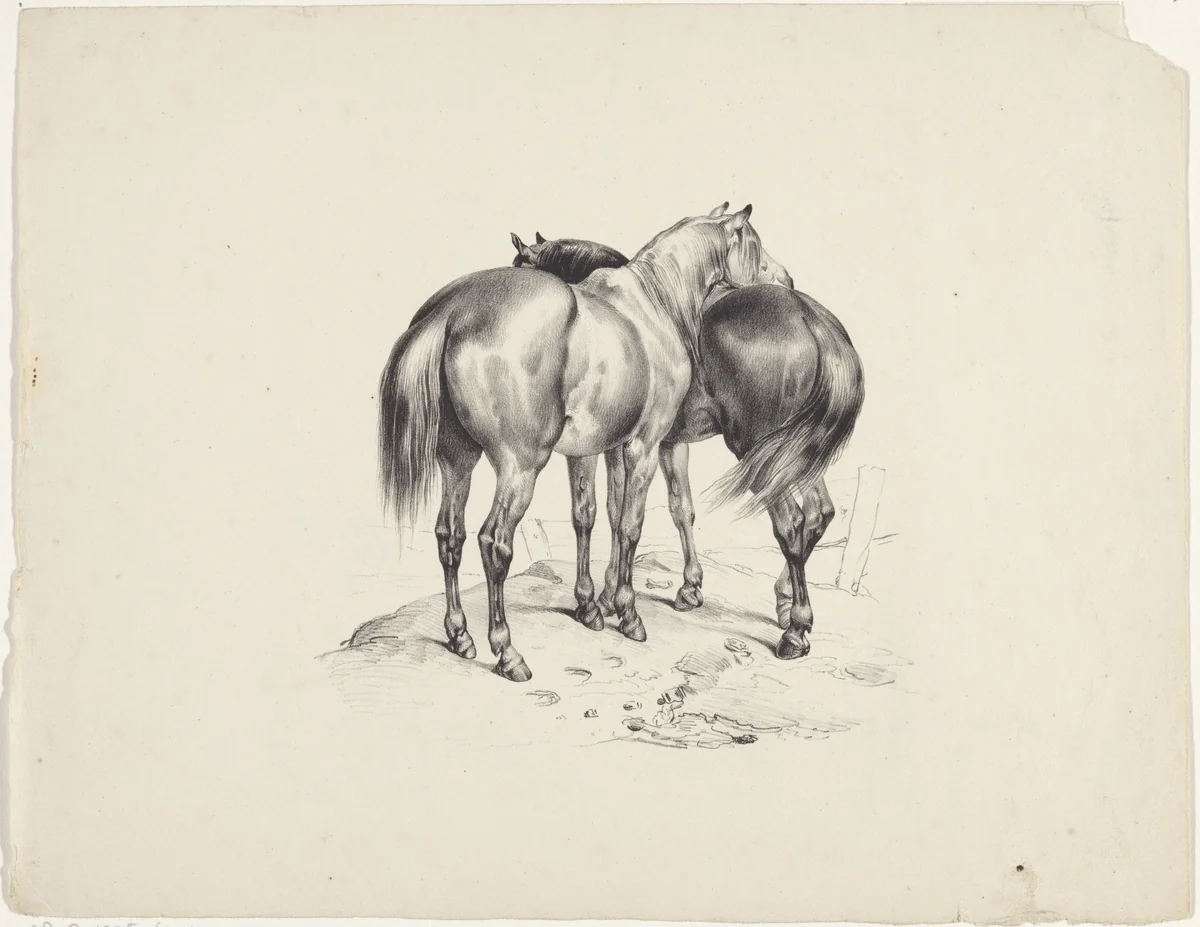 Twee paarden van achteren gezien by anonymous, print, 1822-1845