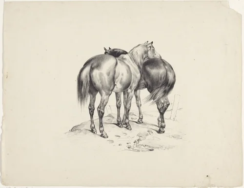 Twee paarden van achteren gezien by anonymous, print, 1822-1845