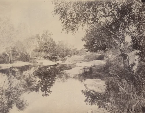 Fontainebleau by Eugène Atget, photograph