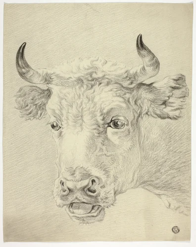 Head of Cow by Paulus Potter, drawing, 1800-1899