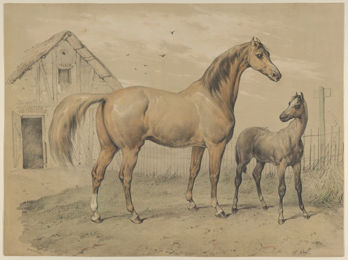 Mare and Foal by Victor Adam, print, 1820-1866