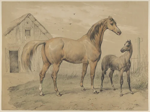 Mare and Foal by Victor Adam, print, 1820-1866