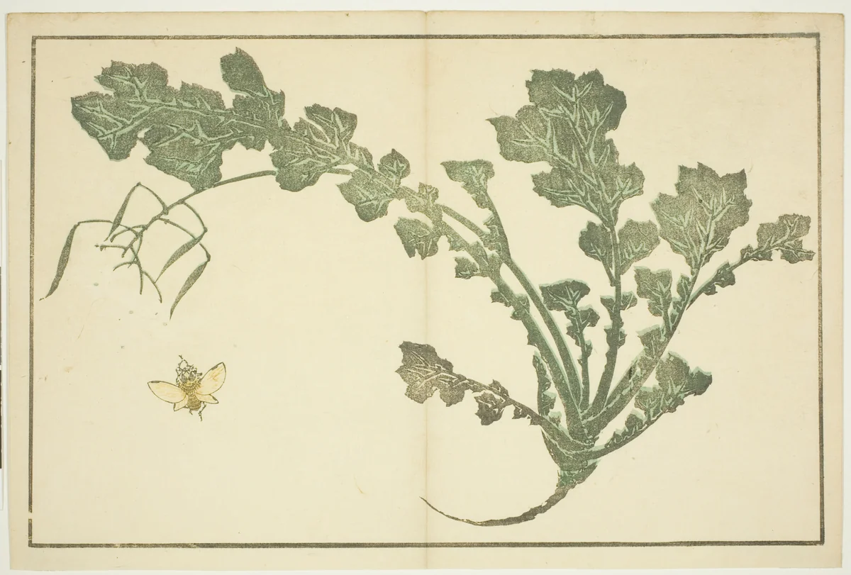 Wasp and turnip stalk, from "The Picture Book of Realistic Paintings of Hokusai (Hokusai shashin gafu)" by Katsushika Hokusai (葛飾 北斎), print, 1809-1819
