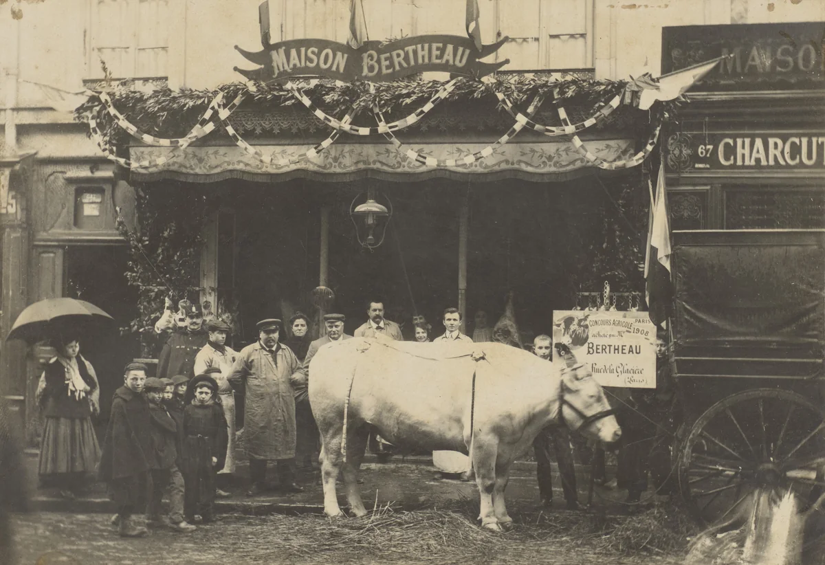 Maison Bertheau, Paris by Unidentified Photographer, photograph, 1908