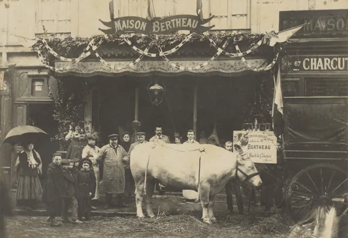 Maison Bertheau, Paris by Unidentified Photographer, photograph, 1908