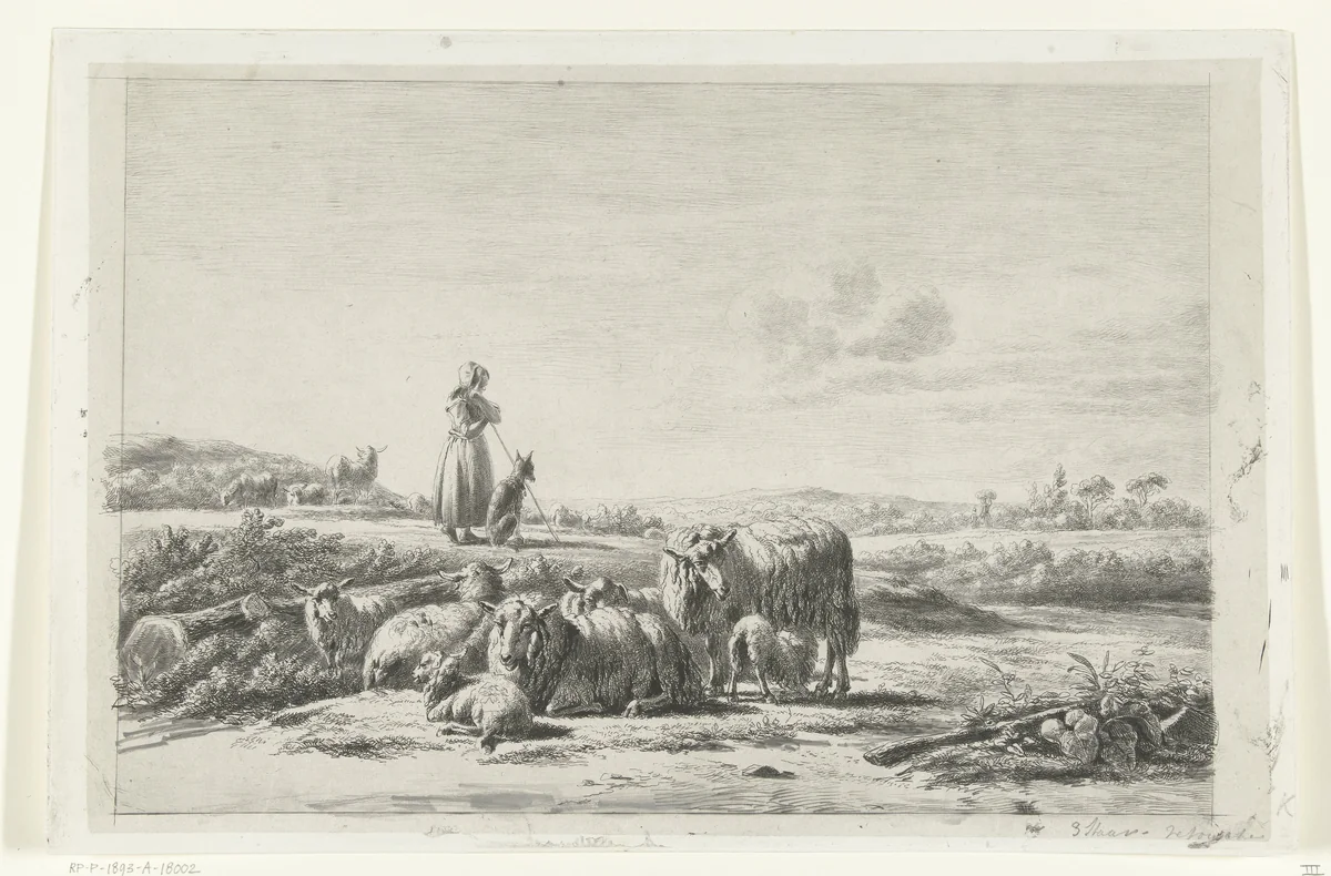 Landschap met herderin en hond bij kudde schapen by Simon van den Berg, print, 1822-1893