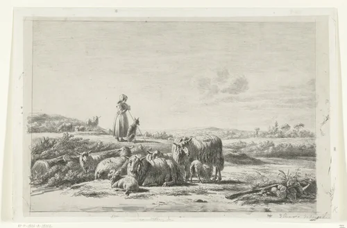 Landschap met herderin en hond bij kudde schapen by Simon van den Berg, print, 1822-1893