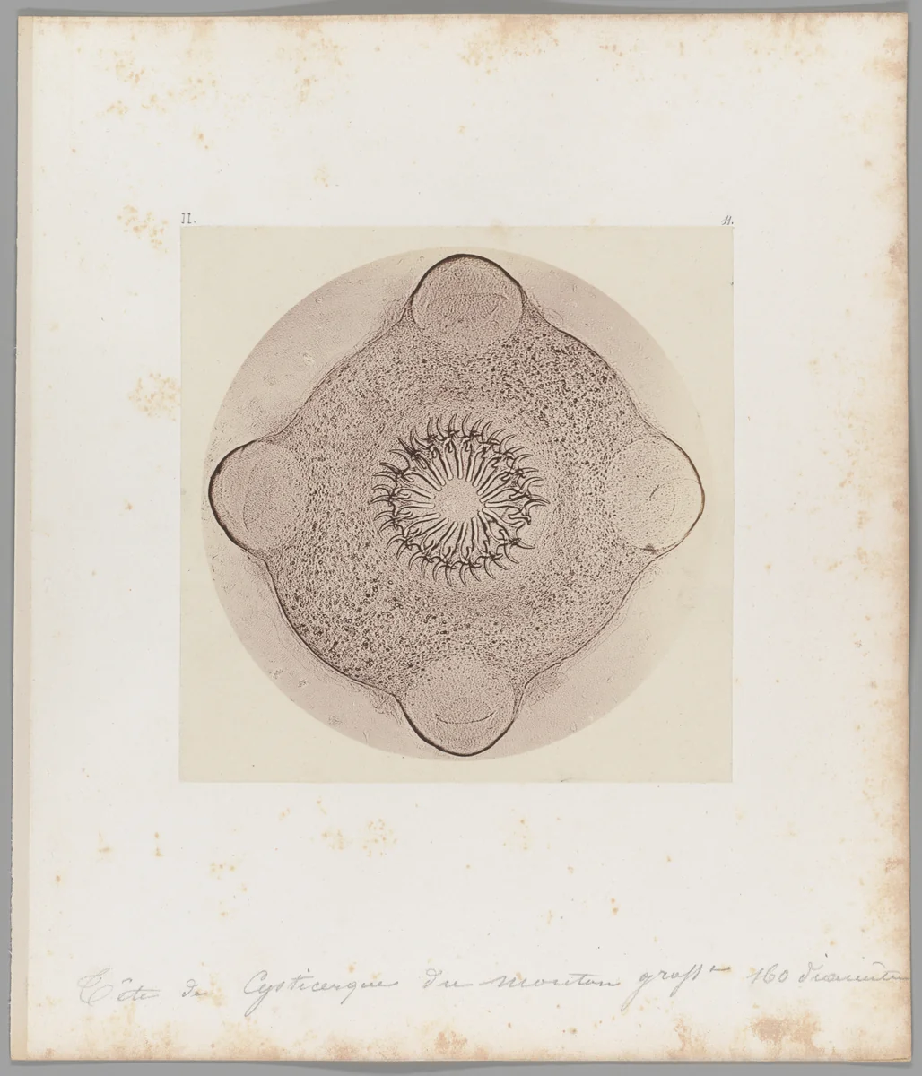 [Untitled] by Auguste-Adolphe Bertsch, photograph, 1853-1857